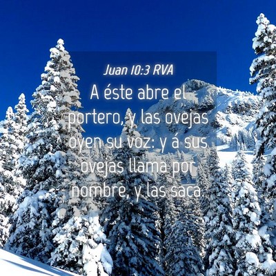 Picture 04 - Juan 10:3 RVA - A éste abre el portero, y las ovejas oyen su - Bible Verse Picture