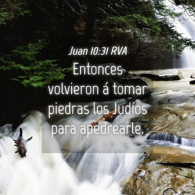 Picture 04 - Juan 10:31 RVA - Entonces volvieron á tomar piedras los Judíos - Bible Verse Picture