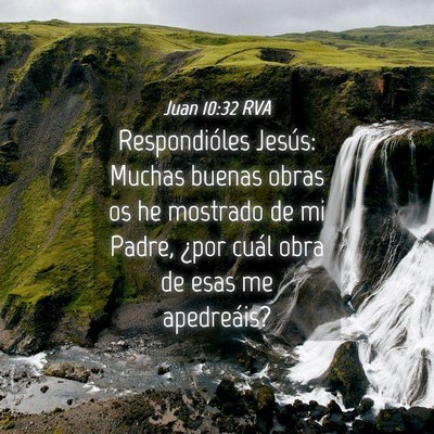 Picture 04 - Juan 10:32 RVA - Respondióles Jesús: Muchas buenas obras os he - Bible Verse Picture