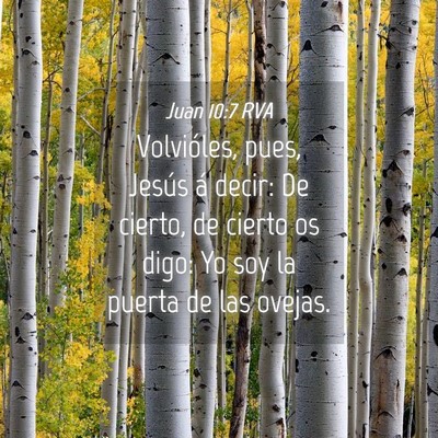 Picture 04 - Juan 10:7 RVA - Volvióles, pues, Jesús á decir: De cierto, de - Bible Verse Picture