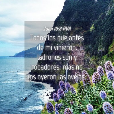Picture 04 - Juan 10:8 RVA - Todos los que antes de mí vinieron, ladrones son - Bible Verse Picture