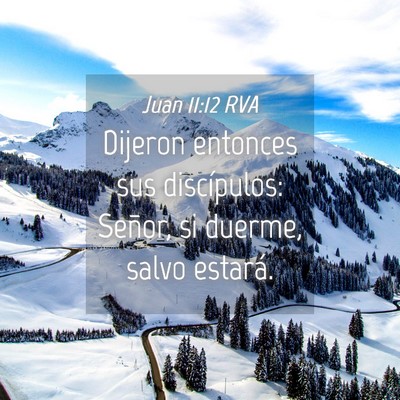 Picture 04 - Juan 11:12 RVA - Dijeron entonces sus discípulos: Señor, si - Bible Verse Picture
