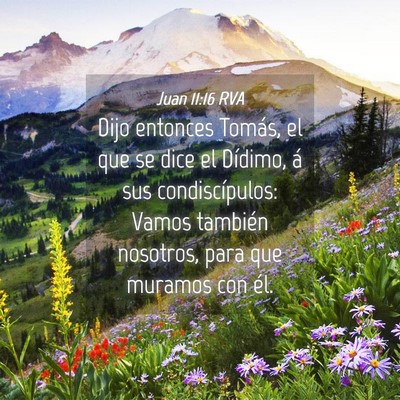 Picture 04 - Juan 11:16 RVA - Dijo entonces Tomás, el que se dice el Dídimo, - Bible Verse Picture