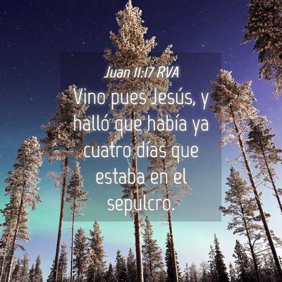 Picture 04 - Juan 11:17 RVA - Vino pues Jesús, y halló que había ya cuatro - Bible Verse Picture
