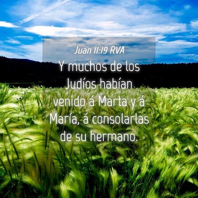 Picture 04 - Juan 11:19 RVA - Y muchos de los Judíos habían venido á Marta y - Bible Verse Picture