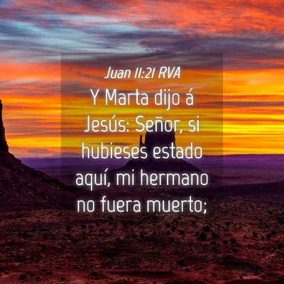Picture 04 - Juan 11:21 RVA - Y Marta dijo á Jesús: Señor, si hubieses - Bible Verse Picture