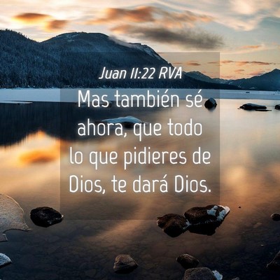 Picture 04 - Juan 11:22 RVA - Mas también sé ahora, que todo lo que pidieres - Bible Verse Picture