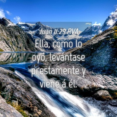 Picture 04 - Juan 11:29 RVA - Ella, como lo oyó, levántase prestamente y - Bible Verse Picture