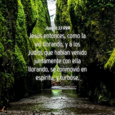 Picture 04 - Juan 11:33 RVA - Jesús entonces, como la vió llorando, y á los - Bible Verse Picture