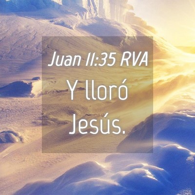 Picture 04 - Juan 11:35 RVA - Y lloró - Bible Verse Picture