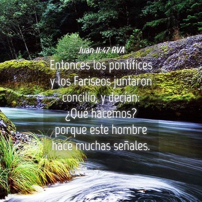 Picture 04 - Juan 11:47 RVA - Entonces los pontífices y los Fariseos juntaron - Bible Verse Picture
