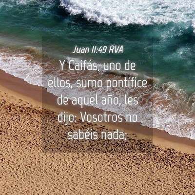 Picture 04 - Juan 11:49 RVA - Y Caifás, uno de ellos, sumo pontífice de aquel - Bible Verse Picture