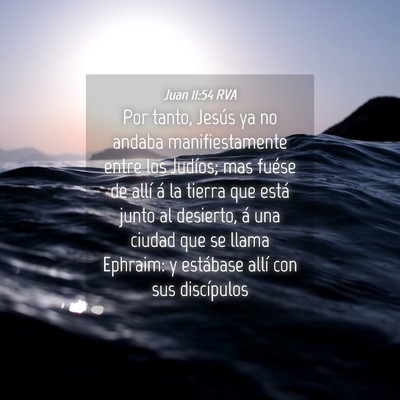 Picture 04 - Juan 11:54 RVA - Por tanto, Jesús ya no andaba manifiestamente - Bible Verse Picture