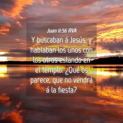 Picture 04 - Juan 11:56 RVA - Y buscaban á Jesús, y hablaban los unos con los - Bible Verse Picture
