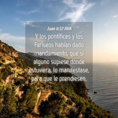 Picture 04 - Juan 11:57 RVA - Y los pontífices y los Fariseos habían dado - Bible Verse Picture