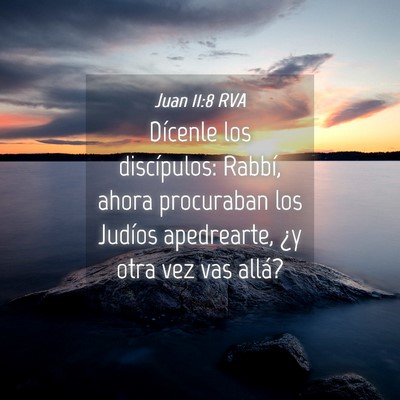 Picture 04 - Juan 11:8 RVA - Dícenle los discípulos: Rabbí, ahora - Bible Verse Picture