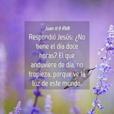 Picture 04 - Juan 11:9 RVA - Respondió Jesús: ¿No tiene el día doce horas? - Bible Verse Picture