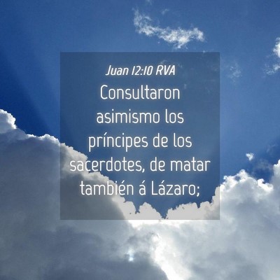 Picture 04 - Juan 12:10 RVA - Consultaron asimismo los príncipes de los - Bible Verse Picture