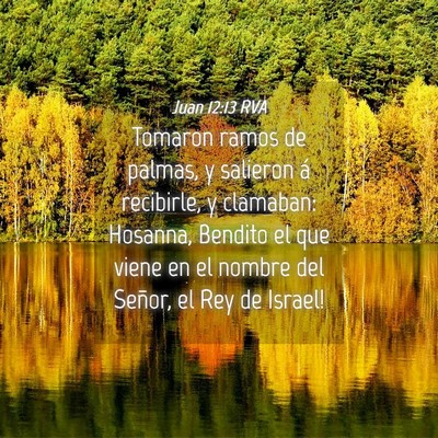 Picture 04 - Juan 12:13 RVA - Tomaron ramos de palmas, y salieron á recibirle, - Bible Verse Picture