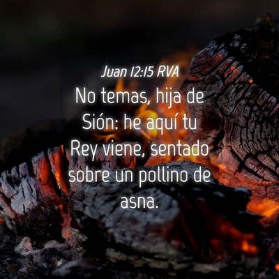 Picture 04 - Juan 12:15 RVA - No temas, hija de Sión: he aquí tu Rey viene, - Bible Verse Picture