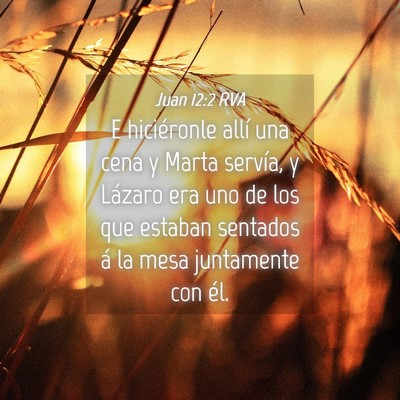 Picture 04 - Juan 12:2 RVA - E hiciéronle allí una cena y Marta servía, y - Bible Verse Picture