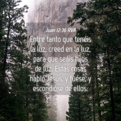Picture 04 - Juan 12:36 RVA - Entre tanto que tenéis la luz, creed en la luz, - Bible Verse Picture
