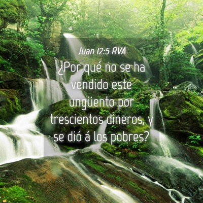 Picture 04 - Juan 12:5 RVA - ¿Por qué no se ha vendido este ungüento por - Bible Verse Picture