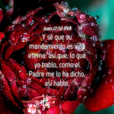 Picture 04 - Juan 12:50 RVA - Y sé que su mandamiento es vida eterna: así - Bible Verse Picture