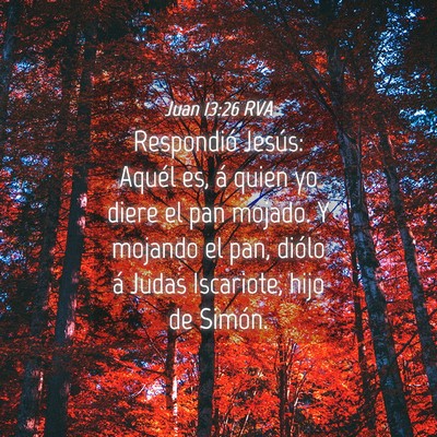 Picture 04 - Juan 13:26 RVA - Respondió Jesús: Aquél es, á quien yo diere - Bible Verse Picture