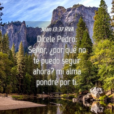Picture 04 - Juan 13:37 RVA - Dícele Pedro: Señor, ¿por qué no te puedo - Bible Verse Picture