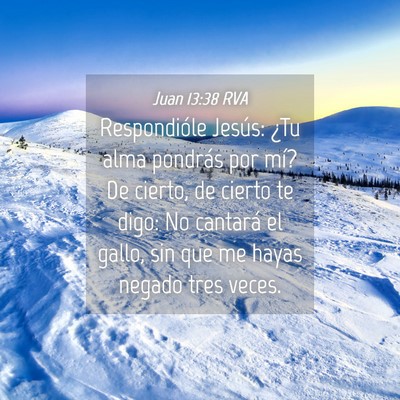 Picture 04 - Juan 13:38 RVA - Respondióle Jesús: ¿Tu alma pondrás por mí? - Bible Verse Picture