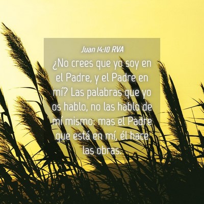 Picture 04 - Juan 14:10 RVA - ¿No crees que yo soy en el Padre, y el Padre en - Bible Verse Picture
