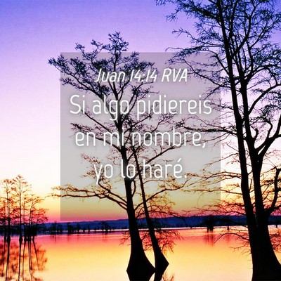 Picture 04 - Juan 14:14 RVA - Si algo pidiereis en mi nombre, yo lo - Bible Verse Picture