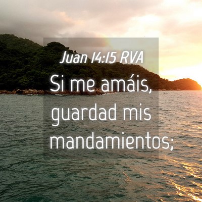 Picture 04 - Juan 14:15 RVA - Si me amáis, guardad mis - Bible Verse Picture
