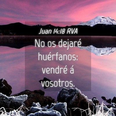 Picture 04 - Juan 14:18 RVA - No os dejaré huérfanos: vendré á - Bible Verse Picture