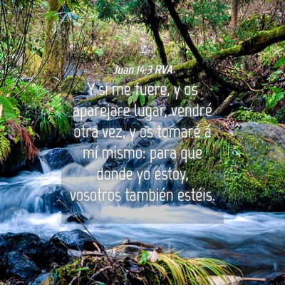 Picture 04 - Juan 14:3 RVA - Y si me fuere, y os aparejare lugar, vendré otra - Bible Verse Picture