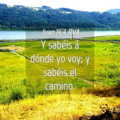 Picture 04 - Juan 14:4 RVA - Y sabéis á dónde yo voy; y sabéis el - Bible Verse Picture