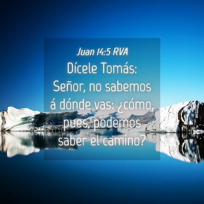 Picture 04 - Juan 14:5 RVA - Dícele Tomás: Señor, no sabemos á dónde vas: - Bible Verse Picture