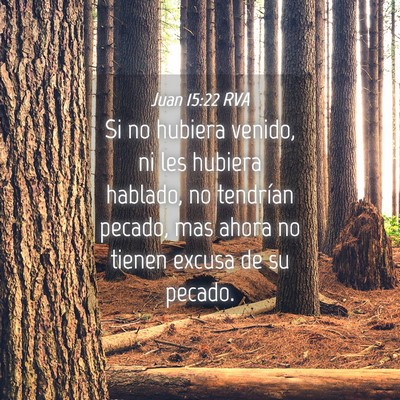 Picture 04 - Juan 15:22 RVA - Si no hubiera venido, ni les hubiera hablado, no - Bible Verse Picture