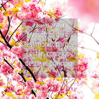 Picture 04 - Juan 15:27 RVA - Y vosotros daréis testimonio, porque estáis - Bible Verse Picture