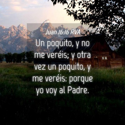 Picture 04 - Juan 16:16 RVA - Un poquito, y no me veréis; y otra vez un - Bible Verse Picture