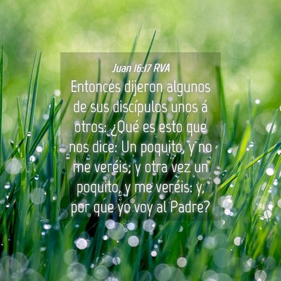 Picture 04 - Juan 16:17 RVA - Entonces dijeron algunos de sus discípulos unos - Bible Verse Picture