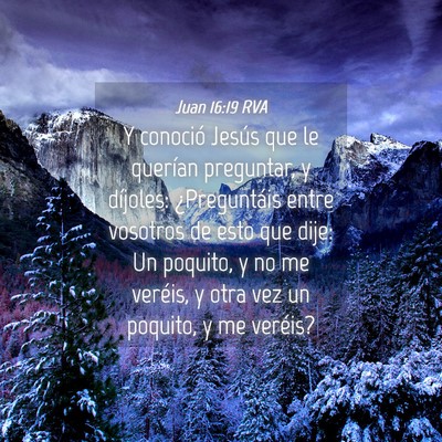 Picture 04 - Juan 16:19 RVA - Y conoció Jesús que le querían preguntar, y - Bible Verse Picture