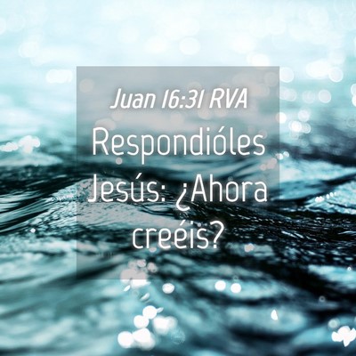 Picture 04 - Juan 16:31 RVA - Respondióles Jesús: ¿Ahora - Bible Verse Picture