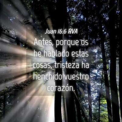 Picture 04 - Juan 16:6 RVA - Antes, porque os he hablado estas cosas, tristeza - Bible Verse Picture