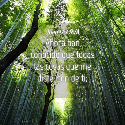 Picture 04 - Juan 17:7 RVA - Ahora han conocido que todas las cosas que me - Bible Verse Picture