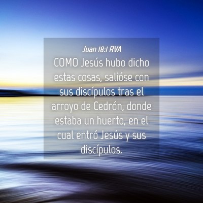 Picture 04 - Juan 18:1 RVA - COMO Jesús hubo dicho estas cosas, salióse con - Bible Verse Picture