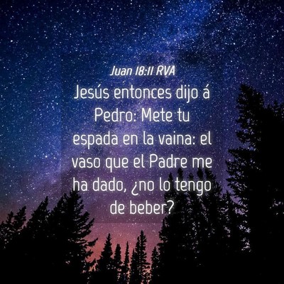 Picture 04 - Juan 18:11 RVA - Jesús entonces dijo á Pedro: Mete tu espada en - Bible Verse Picture