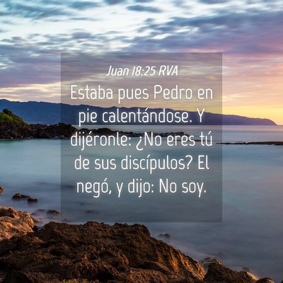 Picture 04 - Juan 18:25 RVA - Estaba pues Pedro en pie calentándose. Y - Bible Verse Picture