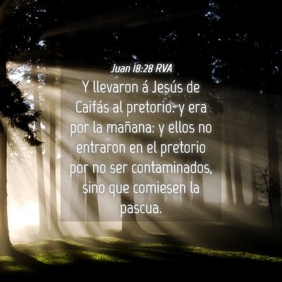 Picture 04 - Juan 18:28 RVA - Y llevaron á Jesús de Caifás al pretorio: y - Bible Verse Picture